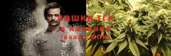 не бодяженный Алексин